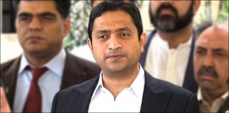 حکومت سندھ کورونا اور ٹڈی دل کے معاملے پر کاروبار کررہی ہے، خرم شیر زمان