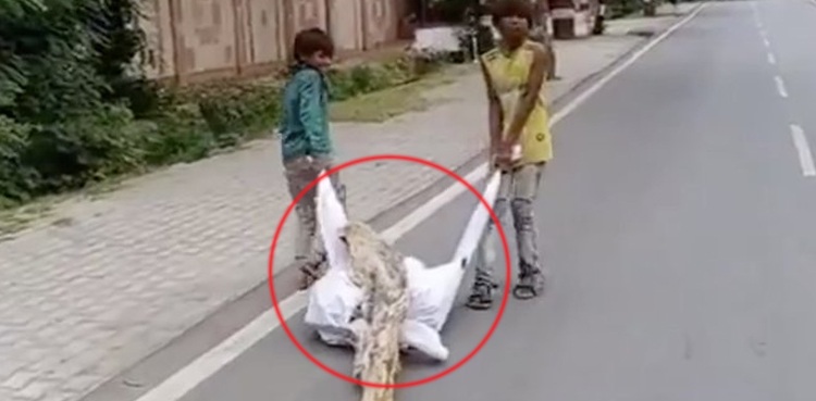 بھارت، استعمال شدہ پی پی ای کٹ میں لکڑیاں اٹھائی جانے لگیں، ویڈیو وائرل