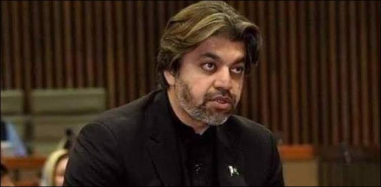 سائفر نہیں تھا تو امریکی سفیر کو بلا کر ڈی مارش کیوں کرایا گیا ؟ علی محمد خان