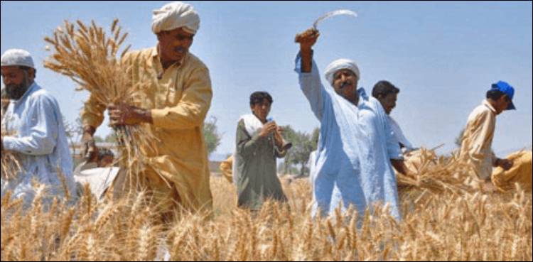 کرونا وائرس: زرعی پیداوار بھی متاثر ہونے کا خدشہ