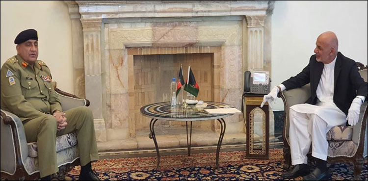 دورہ کابل ، آرمی چیف کی افغان صدراشرف غنی سے ملاقات