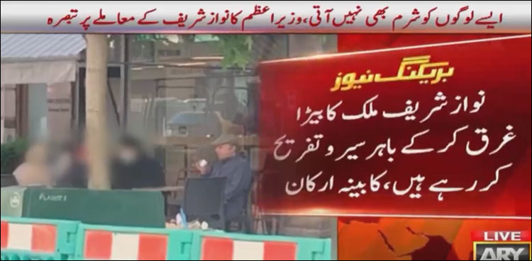 نوازشریف ملک کا بیڑا غرق کرکے باہر سیر و تفریح کررہے ہیں، کابینہ ارکان کا تصویر پر تبصرہ
