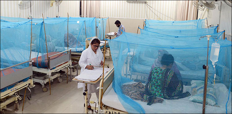 خیبر پختونخوا میں ڈینگی کا زور ٹوٹ گیا