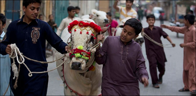 مویشی منڈیوں کے ایس اوپیز اور شہر کی حدود سے باہرقیام  کیلئے کمیٹی قائم
