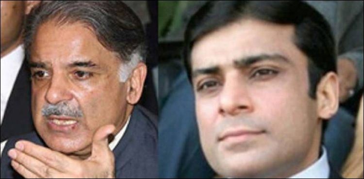 آئندہ سماعت پر حمزہ شہباز کو ہر صورت پیش کیا جائے، عدالت کا حکم