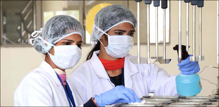 پنجاب کے ڈاکٹروں ، نرسوں اور طبی عملے میں کورونا کی شرح سب سے زیادہ