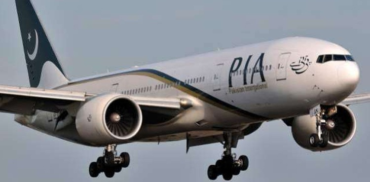 ایئرپورٹس پر طیاروں سے پرندے ٹکرانے کے واقعات میں اضافہ