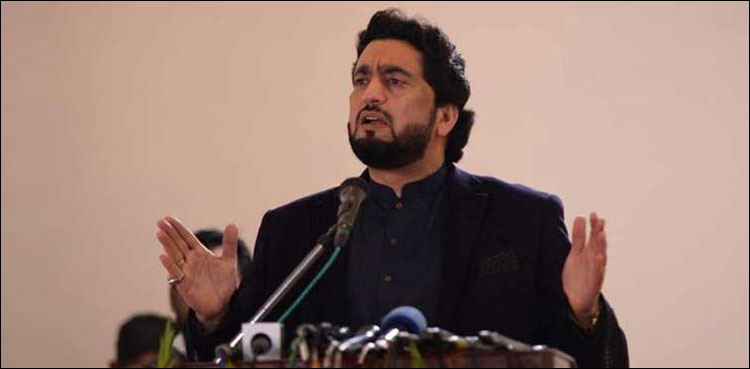 عالمی برادری انسانی حقوق کی بات کرتی ہے مگر عملی طور پر اہمیت نہیں دیتی: شہریار آفریدی