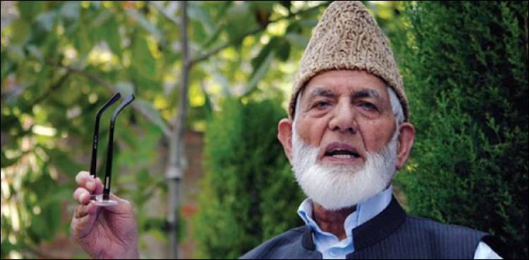 کشمیری حق خود ارادیت کے لیے جدوجہد جاری رکھیں گے: سید علی گیلانی
