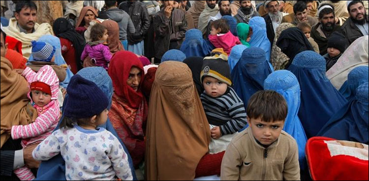 سندھ حکومت کا وفاقی حکومت سے افغان پناہ گزین کو واپس بھیجنے کا مطالبہ