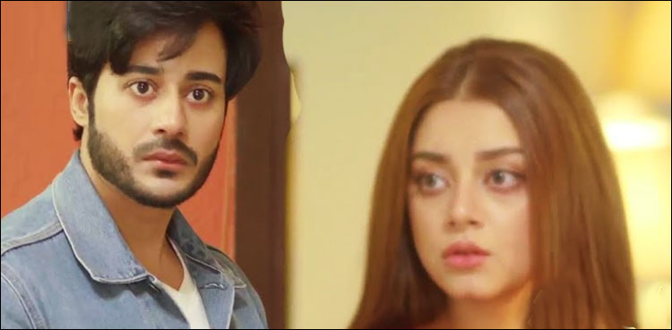 میرا دل میرا دشمن، ’’ماضی کا سچ سامنے آنے پر ہکا بکاہ رہ گئیں‘‘