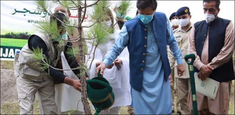 ٹائیگر فورس ڈے: نوجوان ایک دن میں ملین درخت لگائیں گے