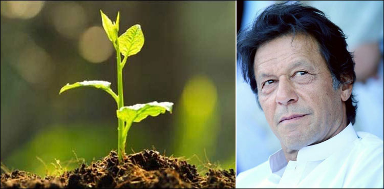 وزیراعظم آج ملکی تاریخ کی  سب سے بڑی مون سون شجر کاری مہم کا آغاز کریں گے