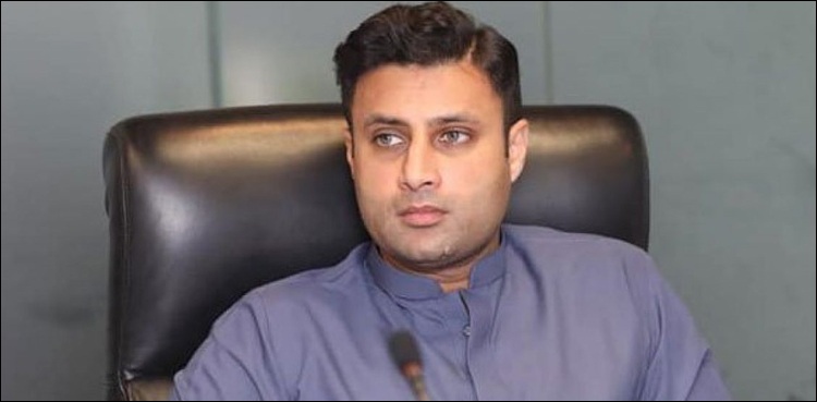 زلفی بخاری نے تسنیم حیدر سے لاتعلقی کا اظہار کردیا
