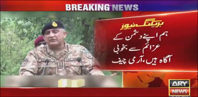 کسی بھی جارحیت کا منہ توڑ جواب دینے کی صلاحیت رکھتے ہیں، آرمی چیف