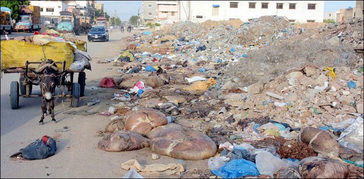 کراچی میں آلائشوں کے ڈھیر لگ گئے، شہریوں کو اذیت کا سامنا