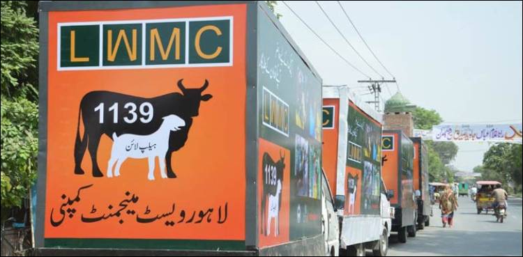 صفائی نہ ہونے کی شکایت پر عملے کے خلاف تادیبی کارروائی ہوگی: عثمان بزدار