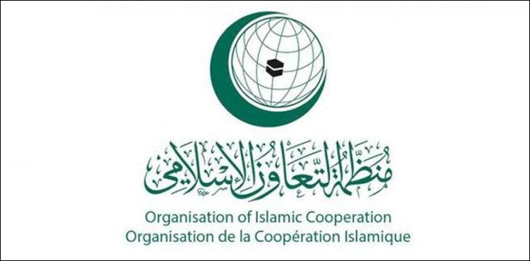 او آئی سی کا فلسطین پر اسرائیلی قبضے سے متعلق اہم بیان سامنے آ گیا