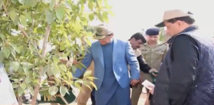 غیر ملکی سفیر بھی وزیراعظم کی شجر کاری مہم کا حصہ بن گئے