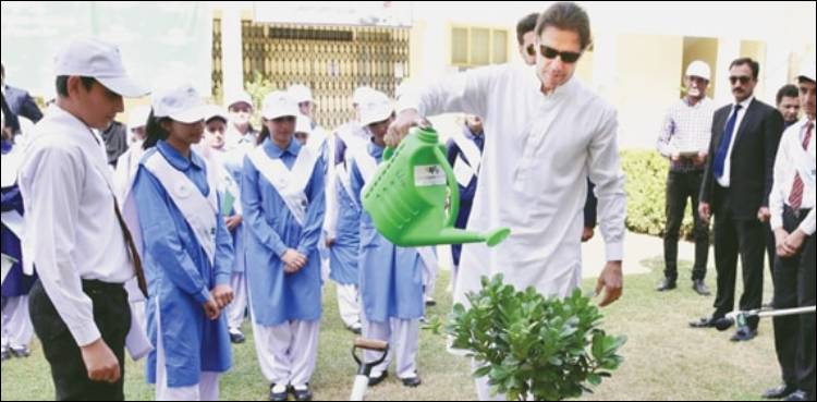 وزیر اعظم کی عوام سے شجر کاری مہم کا حصہ بننے کی اپیل