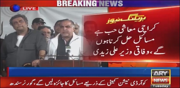 کراچی معاشی حب ہے، مسائل حل کرنا ہوں گے، علی زیدی