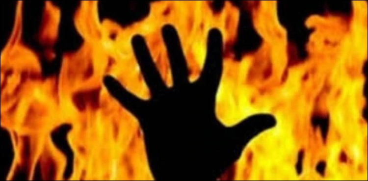 ماں اور دو جڑواں بچے