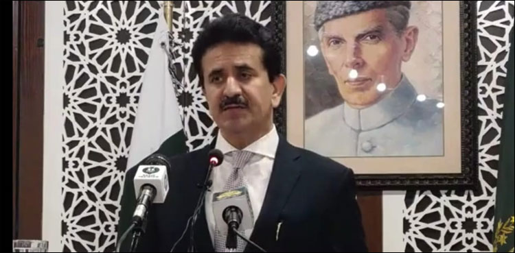 پاکستان کی مقبوضہ کشمیرمیں ہندی زبان کے نفاذ کے حکم کی مذمت