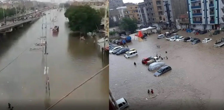 پی ٹی آئی رہنما  نے کراچی میں بارش سے تباہی کی وجہ بتا دی