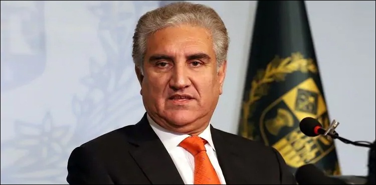 وزیر خارجہ نے  کشمیر اور فلسطین میں ریاستی دہشت گردی کے خاتمے کا مطالبہ کردیا