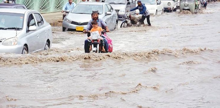 پی ڈی ایم اے سندھ نے بارش سے نقصانات کے اعداد وشمار جاری کر دیے