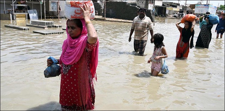 بارش سے متاثرہ خاندانوں کو بحالی کے لیے ایک لاکھ نقد دینا چاہتے ہیں: سندھ حکومت