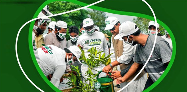 ‘کل ٹائیگرفورس پاکستان میں پودے لگاتے نظر آئے گی’