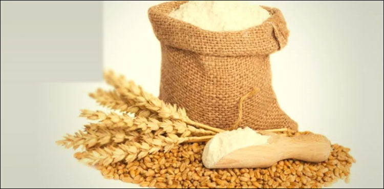 ای سی سی نے پاکستان ٹریڈنگ کارپوریشن کو 2 لاکھ ٹن گندم درآمد کی اجازت دےدی