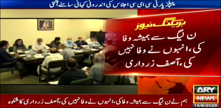 ن لیگ سے ہمیشہ وفا کی، بدلے میں بے وفائی ملی، زرداری کا شکوہ