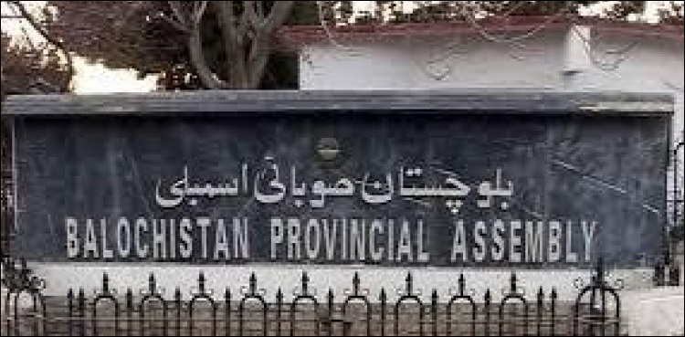 سینیٹ کی خالی نشست پر بلوچستان اسمبلی میں پولنگ جاری