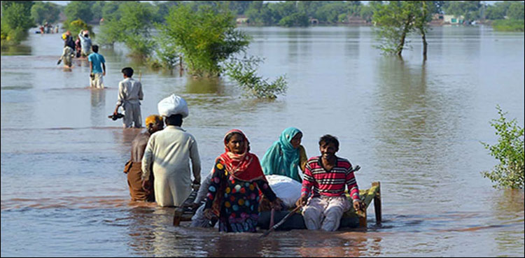 سندھ میں بارشوں اور سیلاب سے بہت نقصان ہوا: اسماعیل راہو