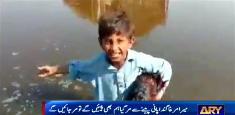 گندا پانی پینے سے میرا مرغا مرگیا: غصے سے بپھرے بچے کی ویڈیو وائرل