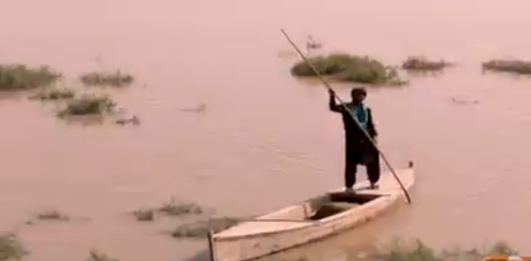 میٹھے پانی کی منچھر جھیل زہریلی ہوگئی