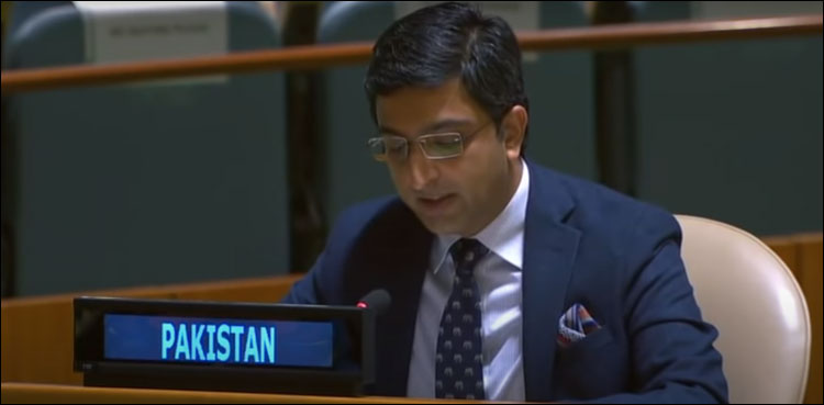 کشمیر بھارت کا حصہ نہ کبھی تھا، نہ ہے اور نہ ہوگا: پاکستان کا بھارت کو بھرپور جواب