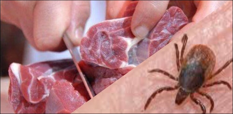 کانگو وائرس کا شکار مریض جاں بحق، رابطے میں آنے والوں کی ٹریسنگ شروع