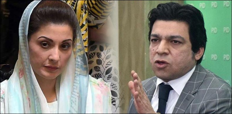 مجرموں کی شہزادی نے اداروں پر پھر ہرزہ سرائی کی، فیصل واوڈا