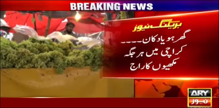 مکھیوں نے کراچی والوں کی زندگی اجیرن کردی