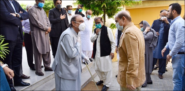 شہباز شریف کی آصف زرداری سے ملاقات، اے پی سی بلانے پر اتفاق