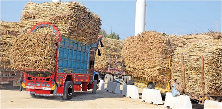 محکمہ اینٹی کرپشن نے پنجاب بھر سے 44 شوگر ملز مالکان کو ریکارڈ سمیت طلب کر لیا