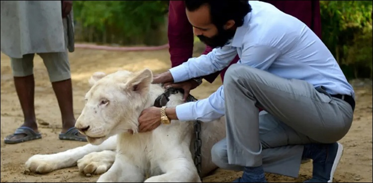 سندھ میں جنگلی حیات کے تحفظ سے متعلق نیا قانون نافذ