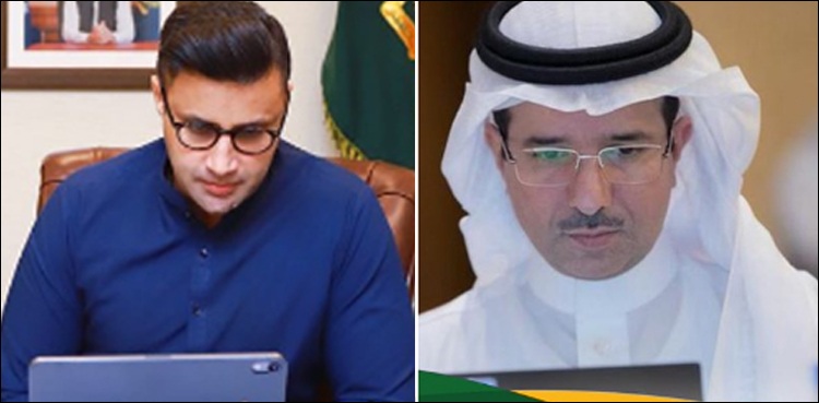 سعودی نائب وزیر کی جانب سے پاکستانیوں کے لیے خوش خبری