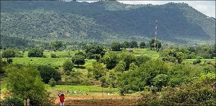 بھارت: شہر پر خوں خوار درندے کا خوف (ویڈیو)