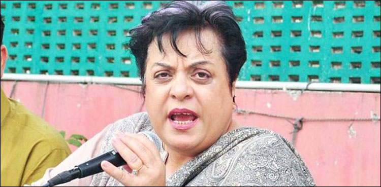 ہمیں دیوار سے مت لگاؤ، شیریں مزاری کا ٹوئٹ