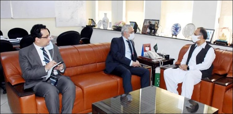 مصر پاکستان کے توانائی شعبے میں جی ٹو جی بنیاد پر تعاون کا خواہشمند