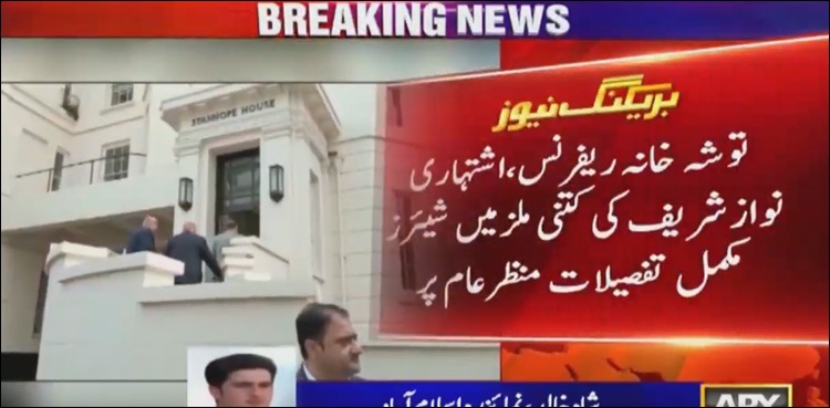 کونسی ملز میں کتنے شیئرز اور اکاؤنٹس میں کتنی رقم ؟نواز شریف  کے  اثاثوں کی تفصیلات منظرعام پر آگئی